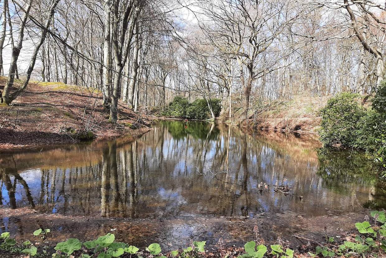 Foto von Ferienhaus UE92 in Sæby - Nordjütland Ost