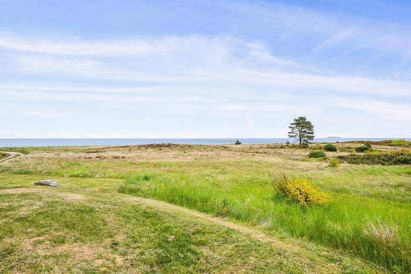 Foto von Ferienhaus UF13 in Dråby - Ebeltoft - Ostjütland