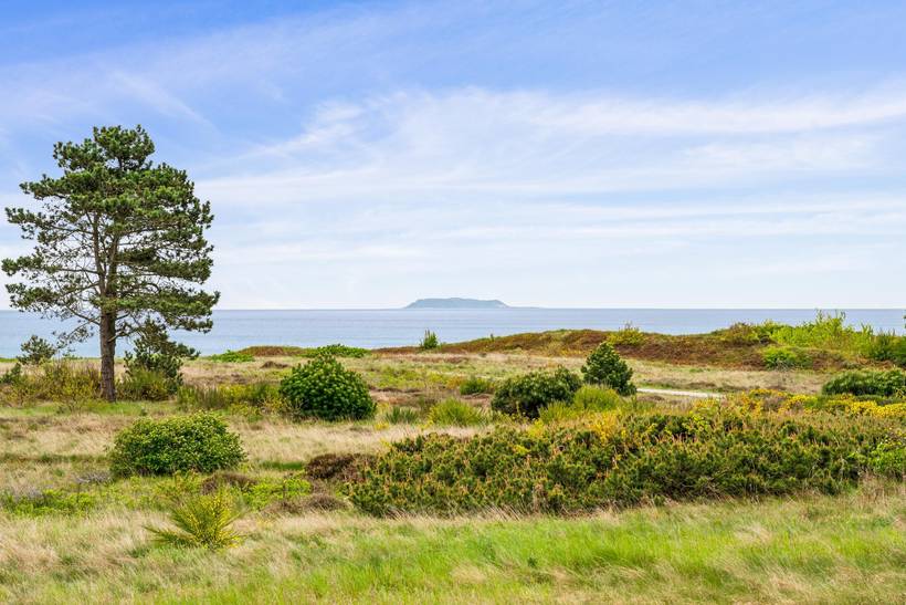 Foto von Ferienhaus UF13 in Dråby - Ebeltoft - Ostjütland