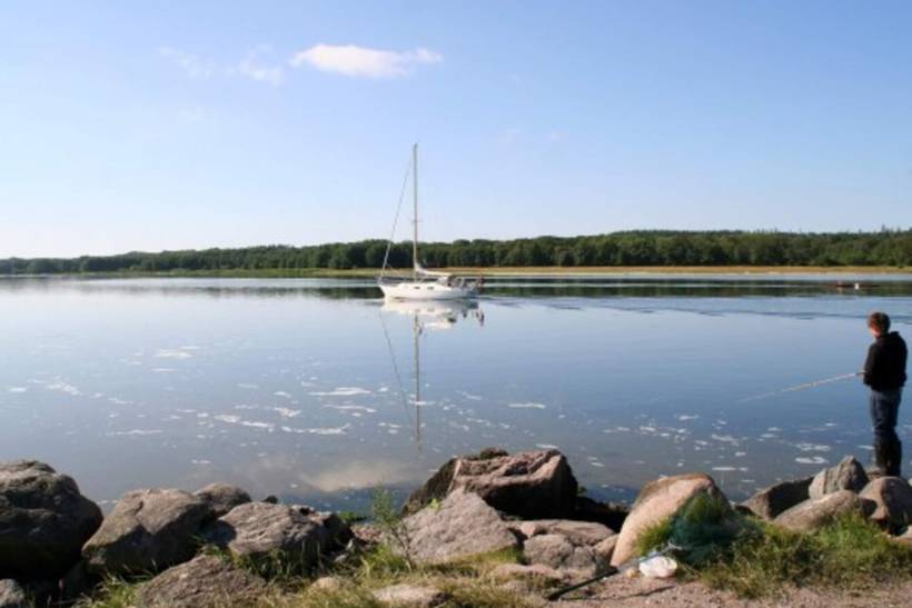 Foto von Ferienhaus UF36 in Als Odde - Helberskov - Nordjütland Ost