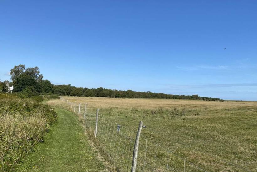 Foto von Ferienhaus UF36 in Als Odde - Helberskov - Nordjütland Ost