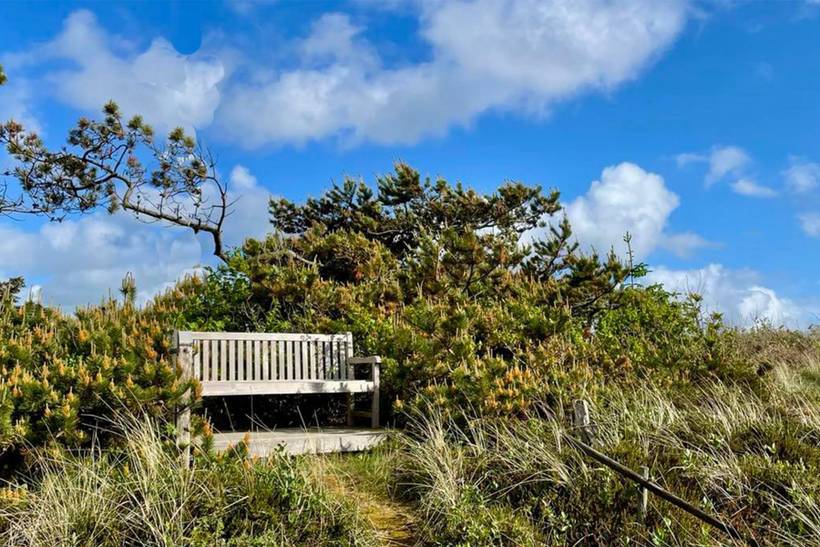 Foto von Ferienhaus UF60 in Henne Strand - Westjütland