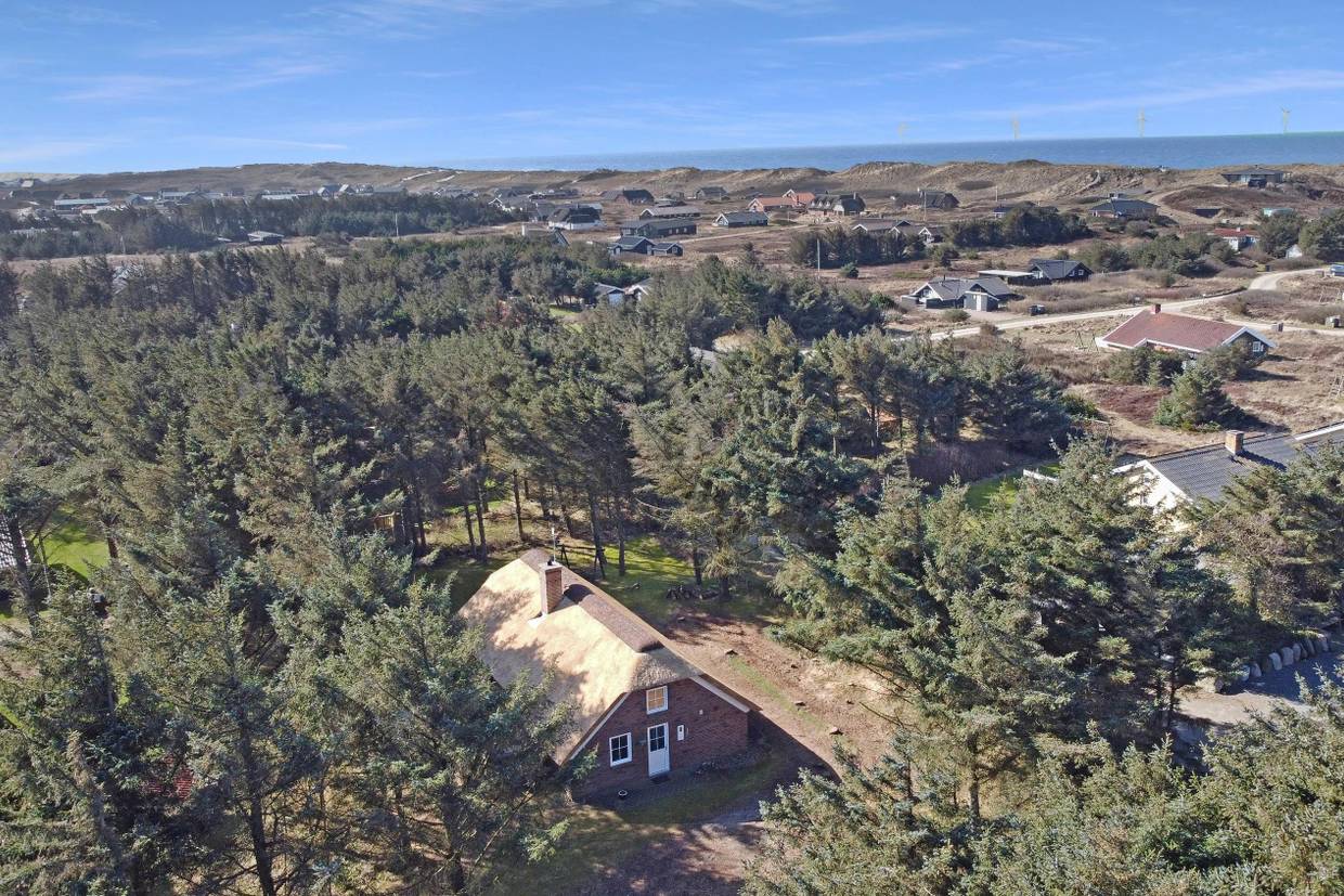 Foto von Ferienhaus UF67 in Vejlby Klit - Westjütland