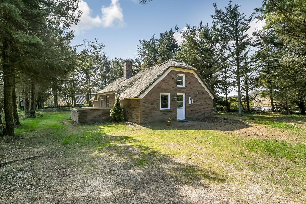 Foto von Ferienhaus UF67 in Vejlby Klit - Westjütland