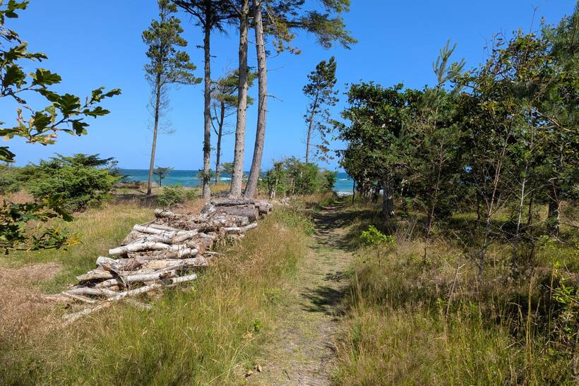 Foto von Ferienhaus UG10 in Smidstrup - Gilleleje - Nordseeland
