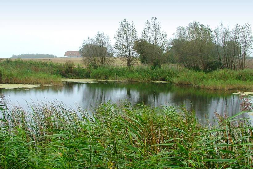 Foto von Ferienhaus UG26 in Bukkemose - Langeland