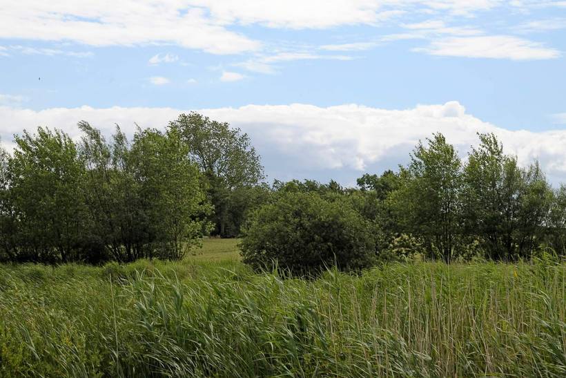 Foto von Ferienhaus UG26 in Bukkemose - Langeland