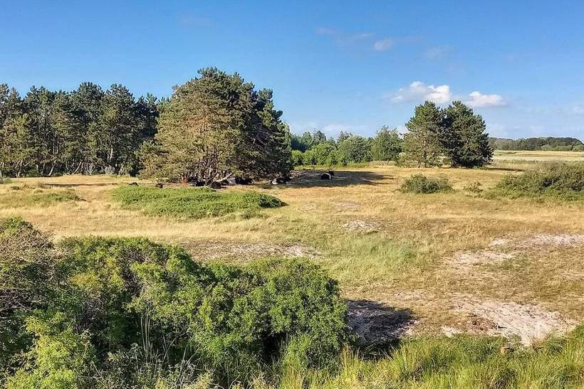 Foto von Ferienhaus UG80 in Bredfjed - Lolland