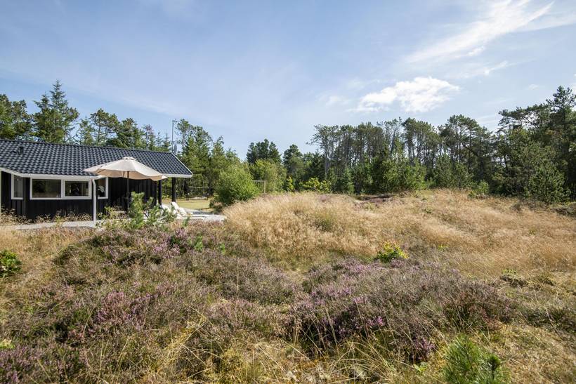 Foto von Ferienhaus UG94 in Bunken - Ålbæk - Nordjütland Ost