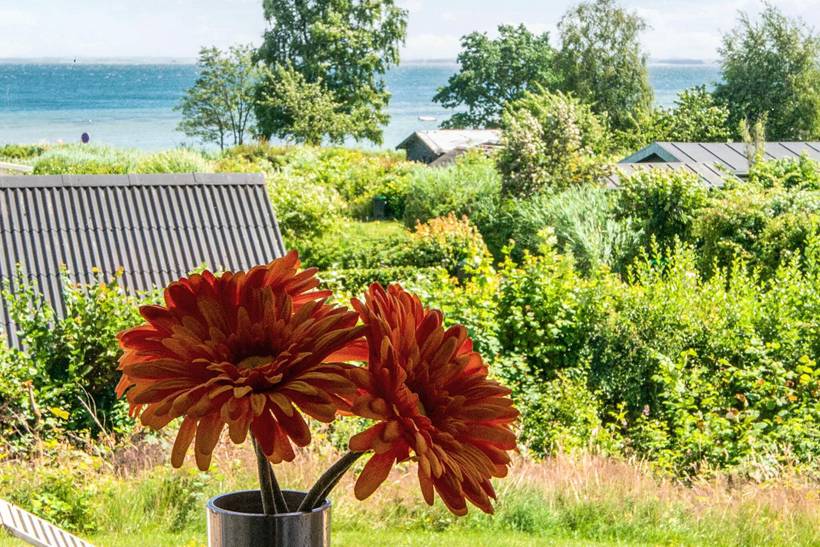 Foto von Ferienhaus UH01 in Sandersvig - Südjütland
