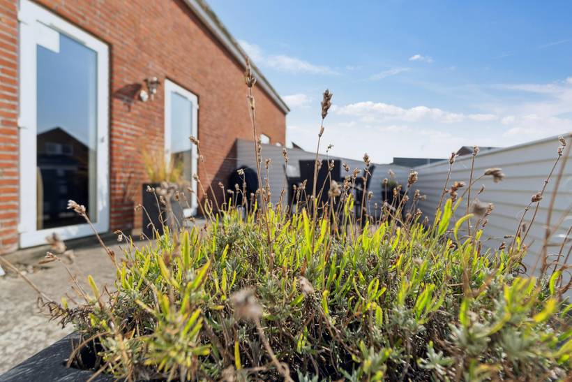 Foto von Ferienhaus UH18 in Havneby - Rømø
