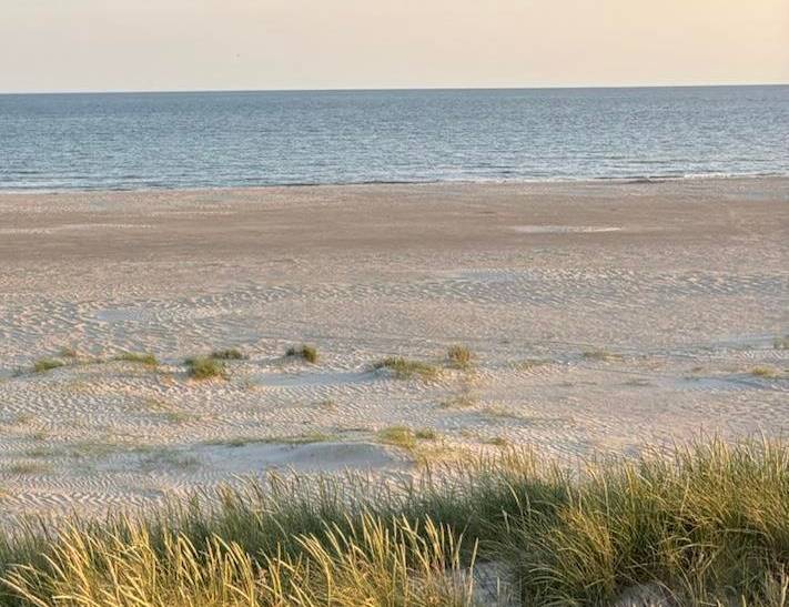 Foto von Ferienhaus UH59 in Blåvand - Westjütland