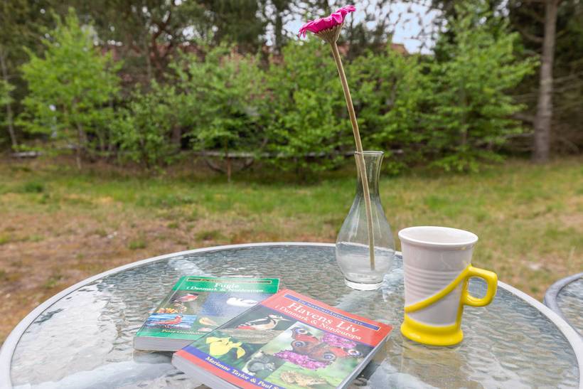Foto von Ferienhaus UH72 in Sømarken - Bornholm