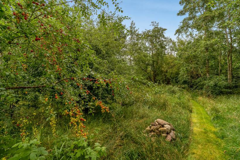 Foto von Ferienhaus UI35 auf Sillerslev - Mors - Thy/Limfjord