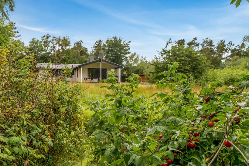 Foto von Ferienhaus UI35 auf Sillerslev - Mors - Thy/Limfjord