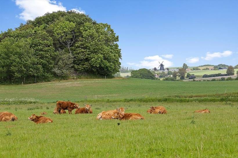 Foto von Ferienhaus UI38 in Mols - Ostjütland