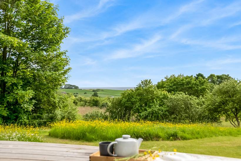 Foto von Ferienhaus UJ49 in Helgenæs - Mols - Ostjütland