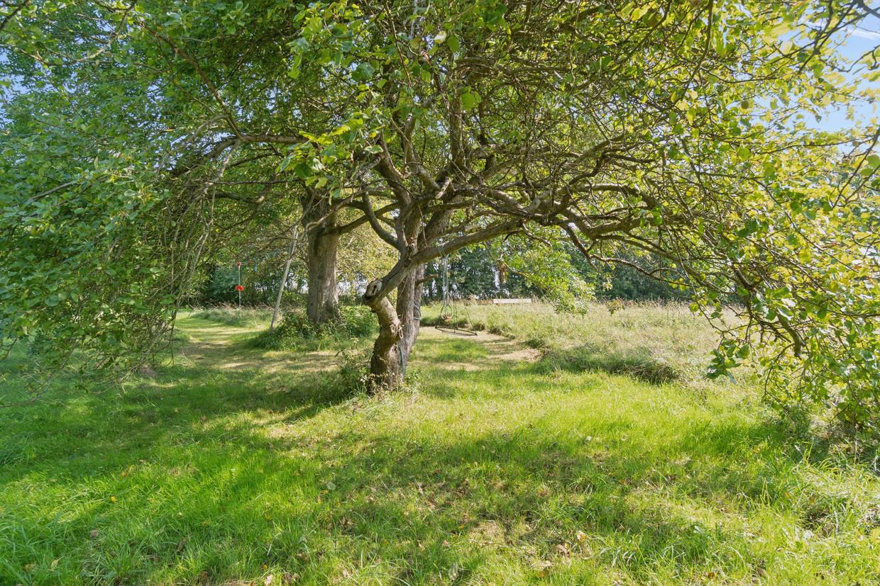 Foto von Ferienhaus UJ49 in Helgenæs - Mols - Ostjütland