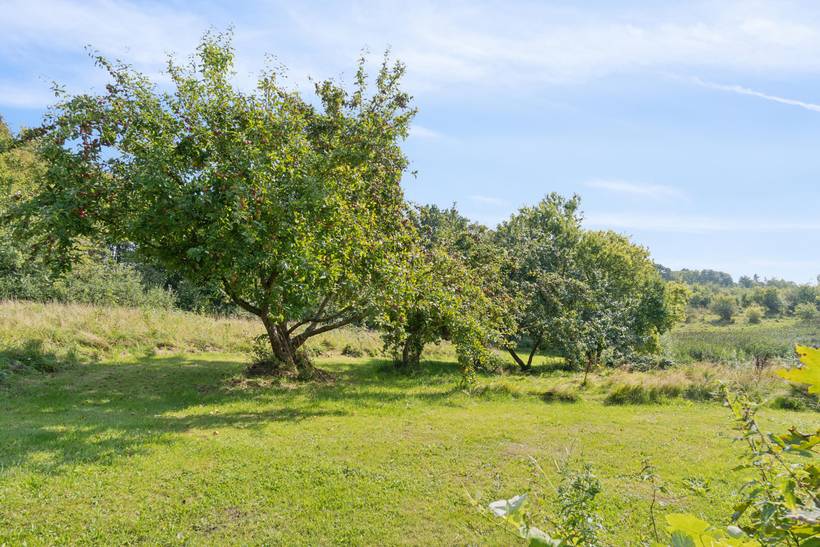 Foto von Ferienhaus UJ49 in Helgenæs - Mols - Ostjütland