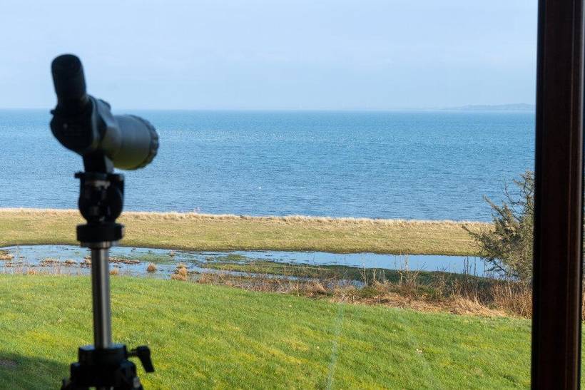 Foto von Ferienhaus UJ65 in Remmestrand - Thy/Limfjord