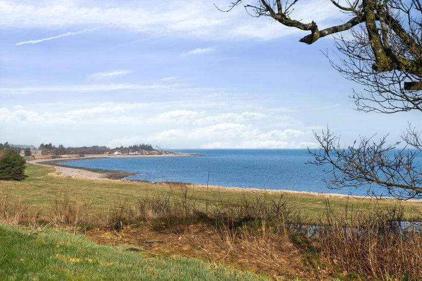 Foto von Ferienhaus UJ65 in Remmestrand - Thy/Limfjord