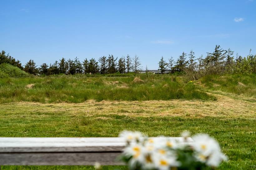 Foto von Ferienhaus UJ81 in Grønhøj - Løkken - Nordjütland