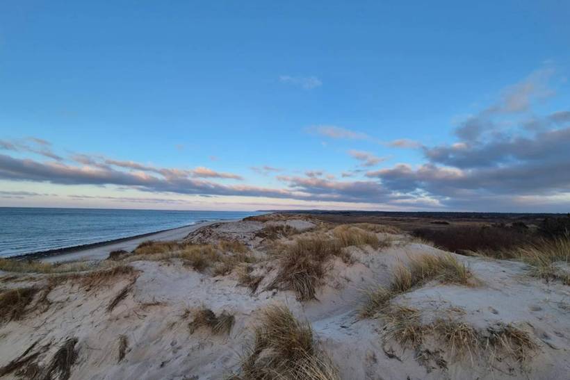 Foto von Ferienhaus UJ94 in Liseleje - Nordseeland
