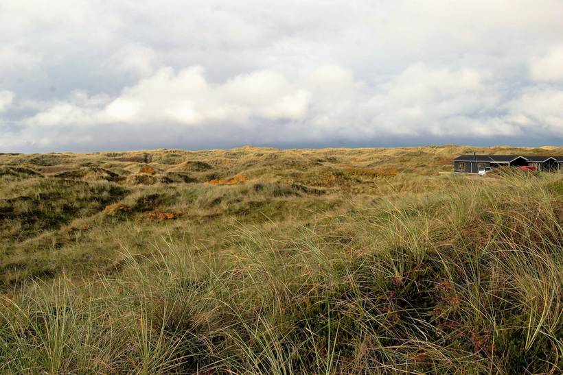 Foto von Ferienhaus UJ97 in Vejers Strand - Westjütland