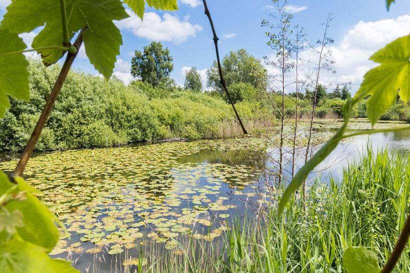 Foto von Ferienhaus UK37 auf Klinten - Nordseeland