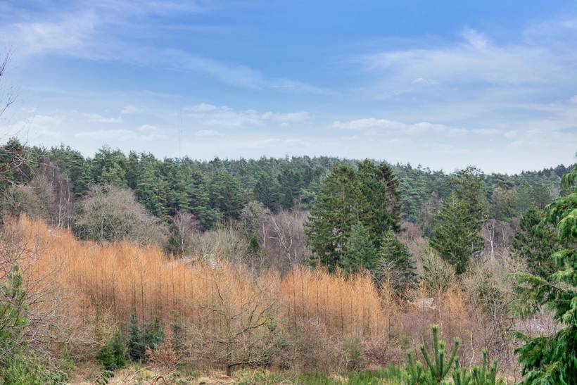 Foto von Ferienhaus UK51 in Femmøller - Mols - Ostjütland
