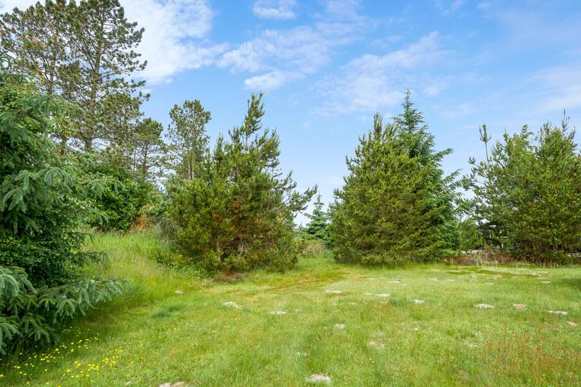 Foto von Ferienhaus UK95 in Ålbæk - Nordjütland Ost