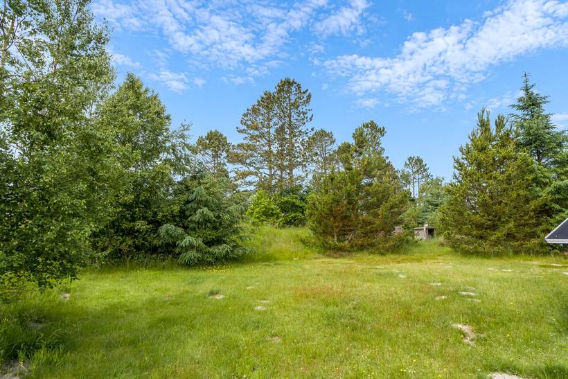 Foto von Ferienhaus UK95 in Ålbæk - Nordjütland Ost