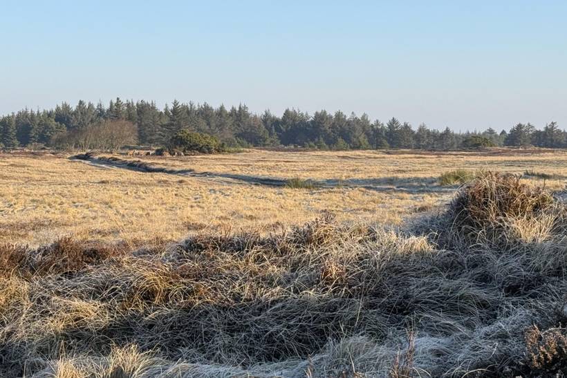 Foto von Ferienhaus UL58 in Houstrup - Westjütland