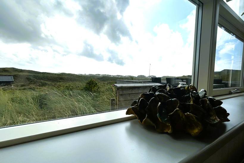 Foto von Ferienhaus UL61 in Skodbjerge - Bjerregård - Westjütland