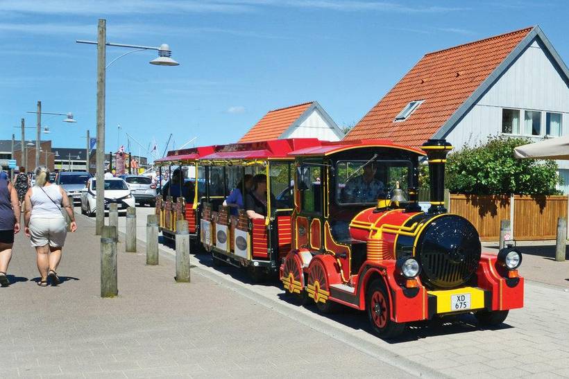 Foto von Ferienhaus UM33 in Lodbjerg Hede - Søndervig - Westjütland