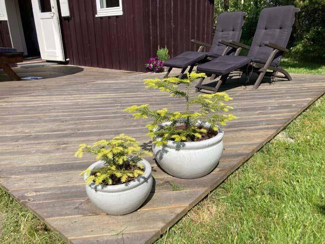 Foto von Ferienhaus UM50 in Slettestrand - Nordjütland