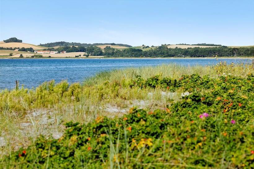 Foto von Ferienhaus UN07 in Mols - Ostjütland