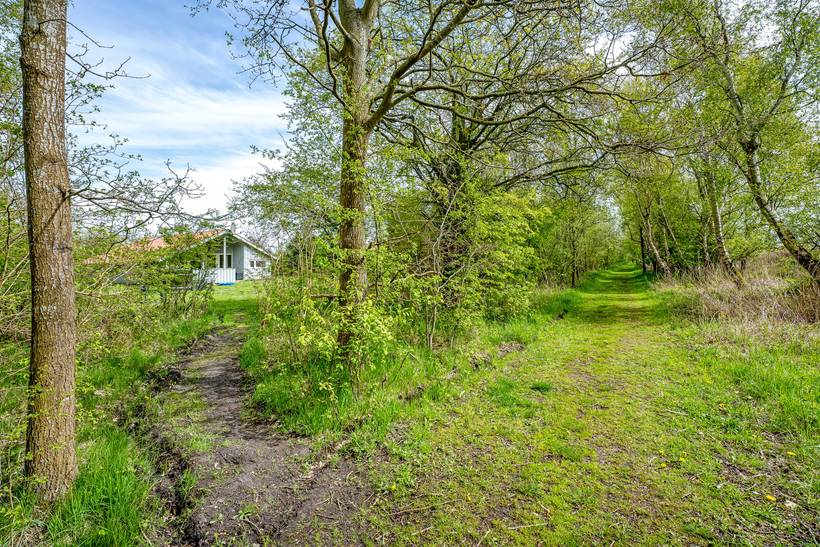 Foto von Ferienhaus UN39 in Marielyst - Falster