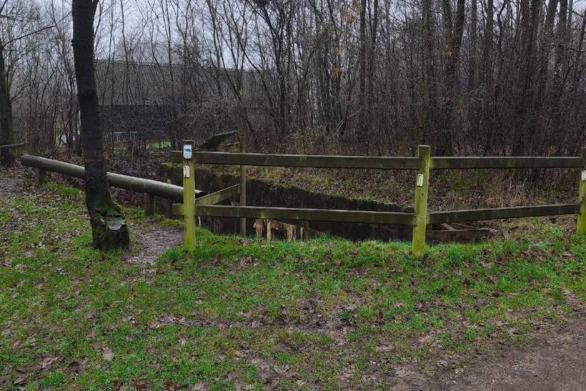 Foto von Ferienhaus UN49 in Arrild - Südjütland