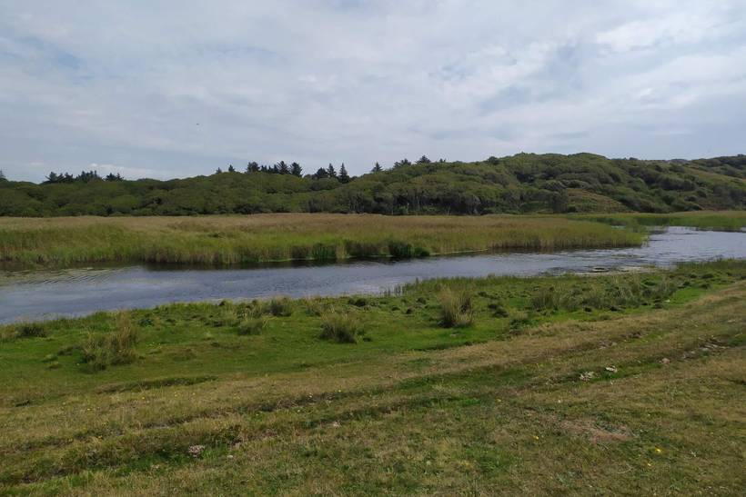 Foto von Ferienhaus UN54 in Hostrup - Thy/Limfjord