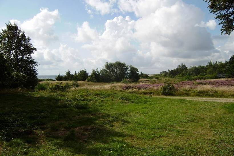 Foto von Ferienhaus UN64 auf Mors - Thy/Limfjord