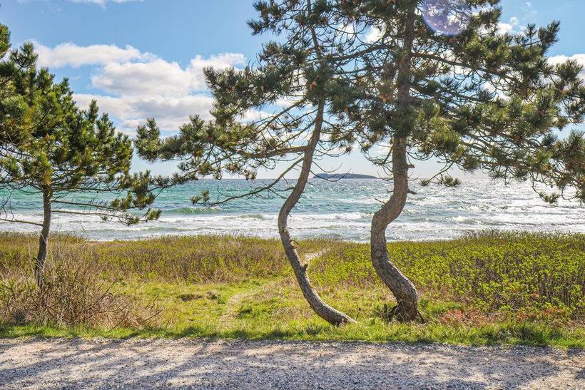Foto von Ferienhaus UO26 in Elsegårde - Ebeltoft - Ostjütland