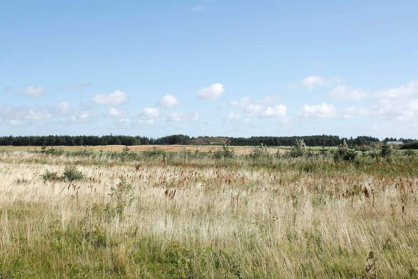 Foto von Ferienhaus UO38 in Nr. Lyngby - Løkken - Nordjütland