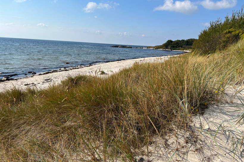 Foto von Ferienhaus UO64 in Sømarken - Bornholm