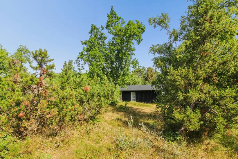 Foto von Ferienhaus UO64 in Sømarken - Bornholm