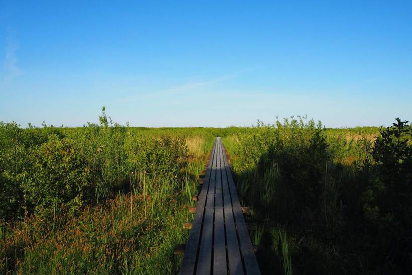 Foto von Ferienhaus UP31 in Spodsbjerg - Langeland