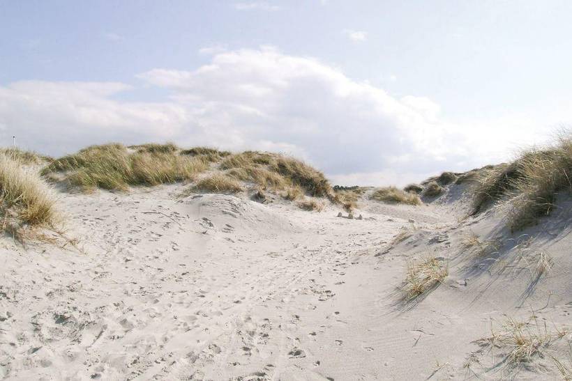 Foto von Ferienhaus UP33 in Sejerø Bugt - Westseeland