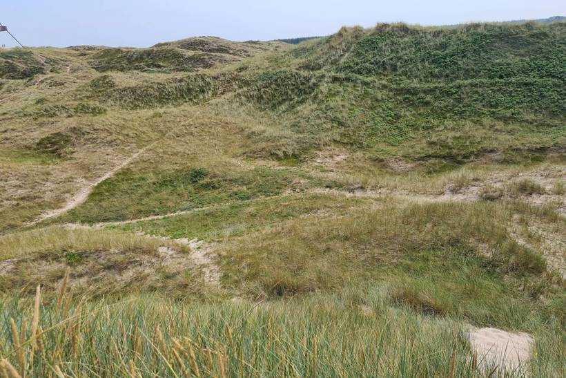 Foto von Ferienhaus UP45 in Skagen - Nordjütland
