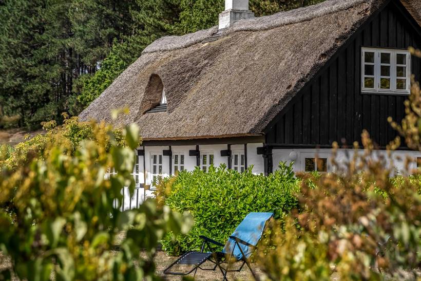 Foto von Ferienhaus UP48 in Knebel - Mols - Ostjütland