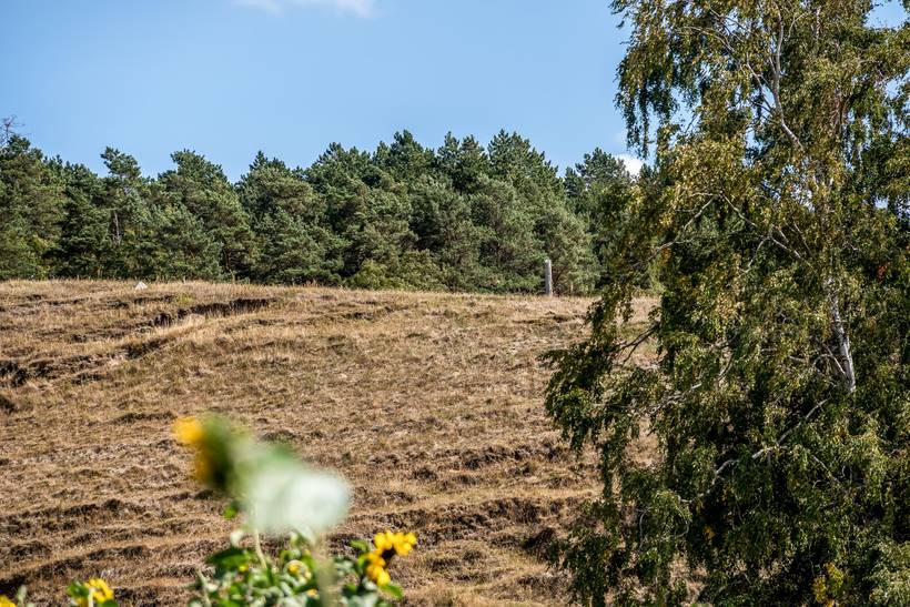 Foto von Ferienhaus UP48 in Knebel - Mols - Ostjütland